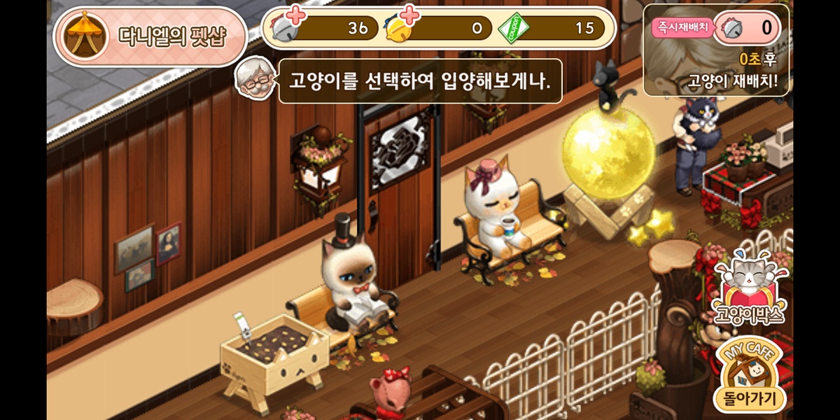 Cat Cafe - Preview 2
