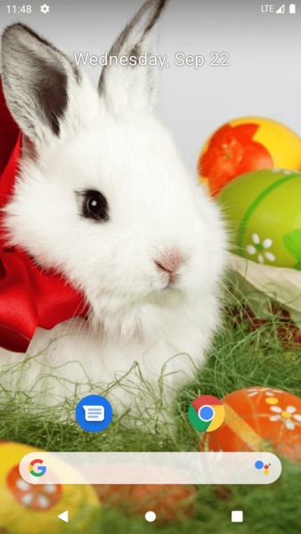 Rabbit Wallpaper - Preview 8