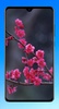Beautiful Spring Wallpaper 4K screenshot 9