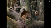 Samorost 1 screenshot 2