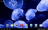 Jellyfish Live Wallpaper screenshot 4
