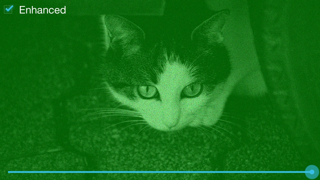 Feigned Night Vision - Preview 3
