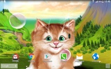 Kitten Live Wallpaper screenshot 2