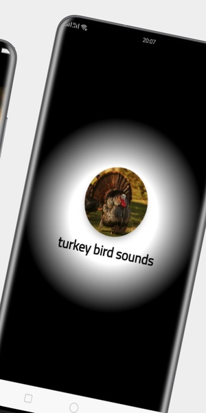 turkey bird sounds - Preview 2