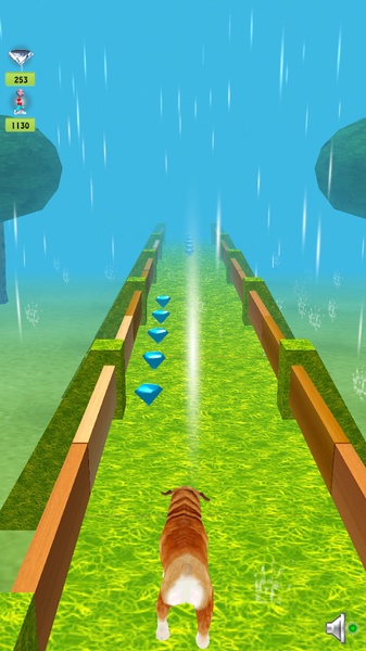 Temple Dog Run - Preview 2