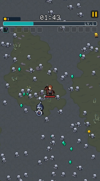 Mount and Magic - Preview 2