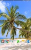 Tropical Paradise Wallpaper screenshot 2