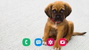 Puppy Wallpaper screenshot 1