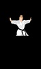 Karate All Shotokan Katas screenshot 3