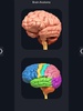 Brain Anatomy Pro screenshot 5