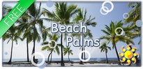 Beach Palms Live Wallpaper screenshot 2