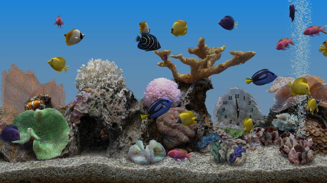 Marine Aquarium 3.2 - Preview 3