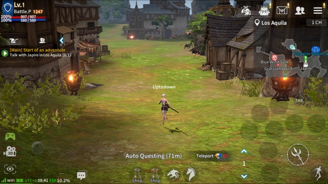 Rebirth Online - Preview 2