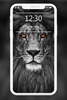 Lion Wallpapers HD screenshot 4