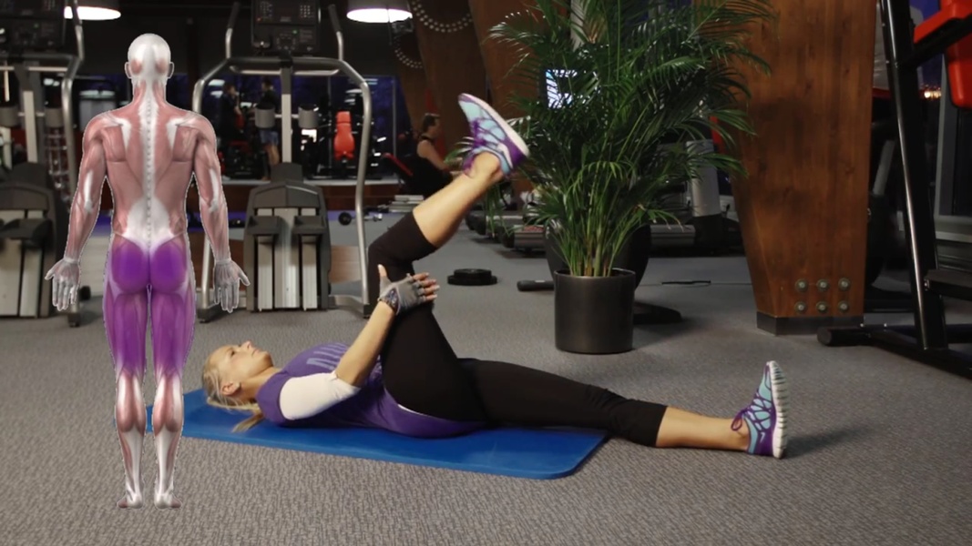 Gym Workout Programs - Preview 11
