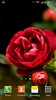 Roses Live Wallpaper screenshot 10