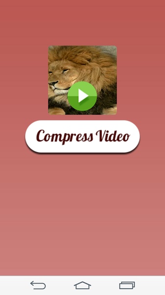 Video Compressor - Preview 2