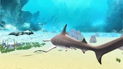 The Hammerhead Shark screenshot 20
