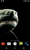 Shark 4K Video Live Wallpaper screenshot 1