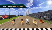 Wild Greyhound Dog Racing screenshot 1