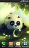 Panda Dumpling Lite screenshot 1