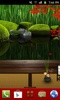 Zen Garden -Fall- Theme screenshot 7