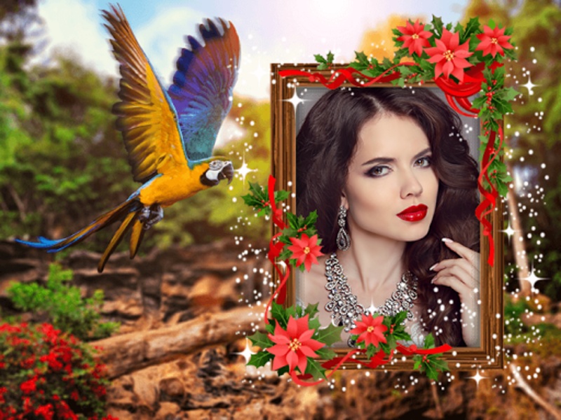 Jungle Photo Frames - Dual - Preview 6