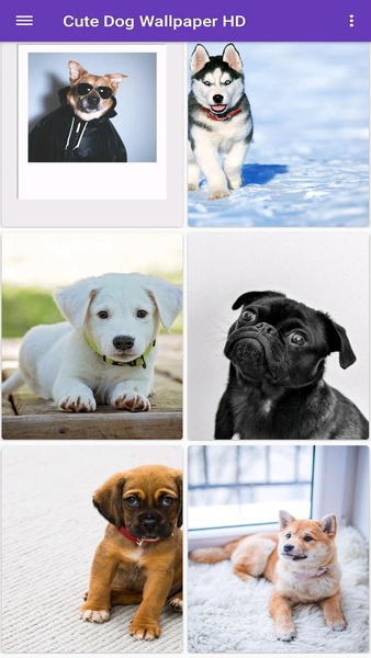 Cute Dog Wallpapers HD - Preview 3