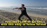 Tai Chi Fit FLOW screenshot 1