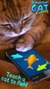 Simulator Cat Fishing screenshot 1