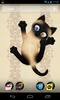 Cat LivePet Wallpaper HD screenshot 17