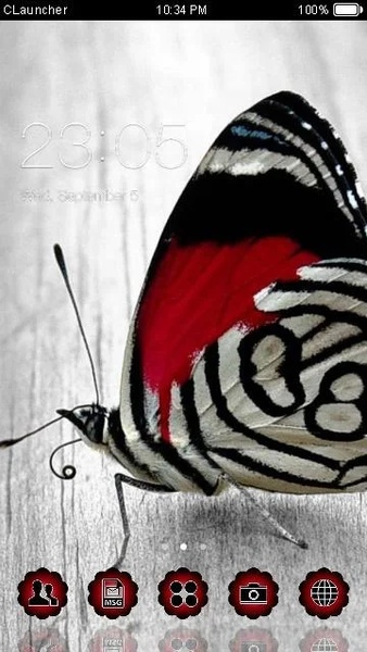 Beautiful Butterfly - Preview 4