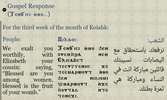 Coptic Reader screenshot 23