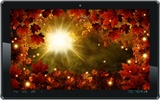 Autumn Sun HD live wallpaper screenshot 5