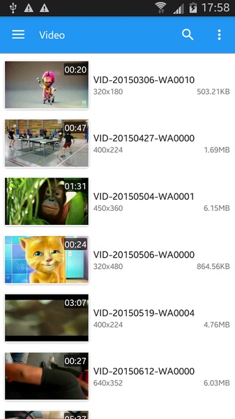VideoFramePlayer - Preview 2
