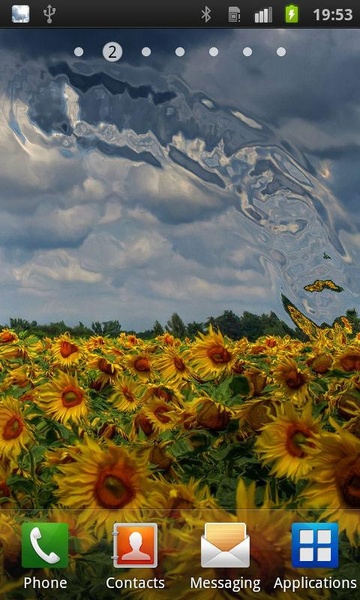 Flowers Reflection Free - Preview 6
