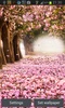 Cherry Blossom Live Wallpaper screenshot 7