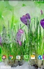 Spring Flower Live Wallpaper screenshot 4