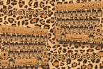 Leopard Keyboard screenshot 6