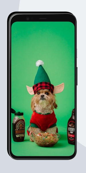 Funny Wallpapers OurcreativeApps - Preview 4