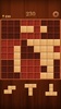BlockPuzzleWoodo screenshot 2
