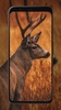 Deer Wallpapers screenshot 5