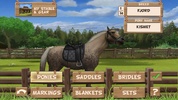 Pony Trails screenshot 11