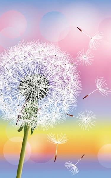 Dandelion Live Wallpaper - Preview 6