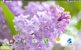 Lila Blumen Live Wallpaper screenshot 1