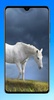 Horse Wallpaper 4K screenshot 2