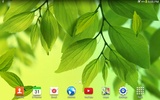 Leaf Live Wallpaper screenshot 4