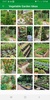 Vegetable Garden Design Ideas screenshot 6