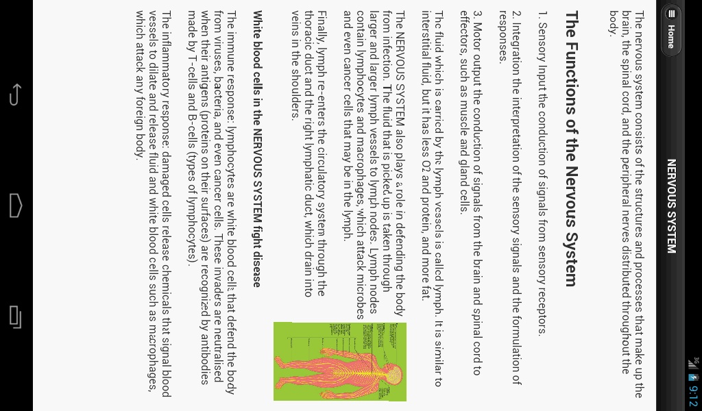 Human Body System - Preview 1