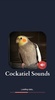 Cockatiel Sounds screenshot 4